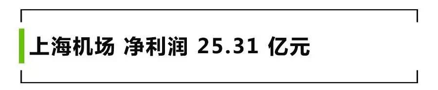 2015 年上海国际机场股份有限公司实现净利润 25.31 亿元